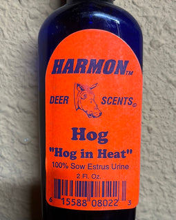 Hog in heat